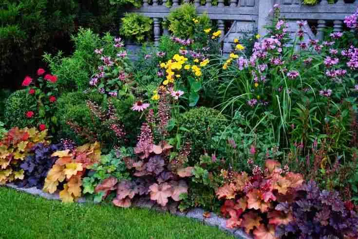 Гейхера в дизайне