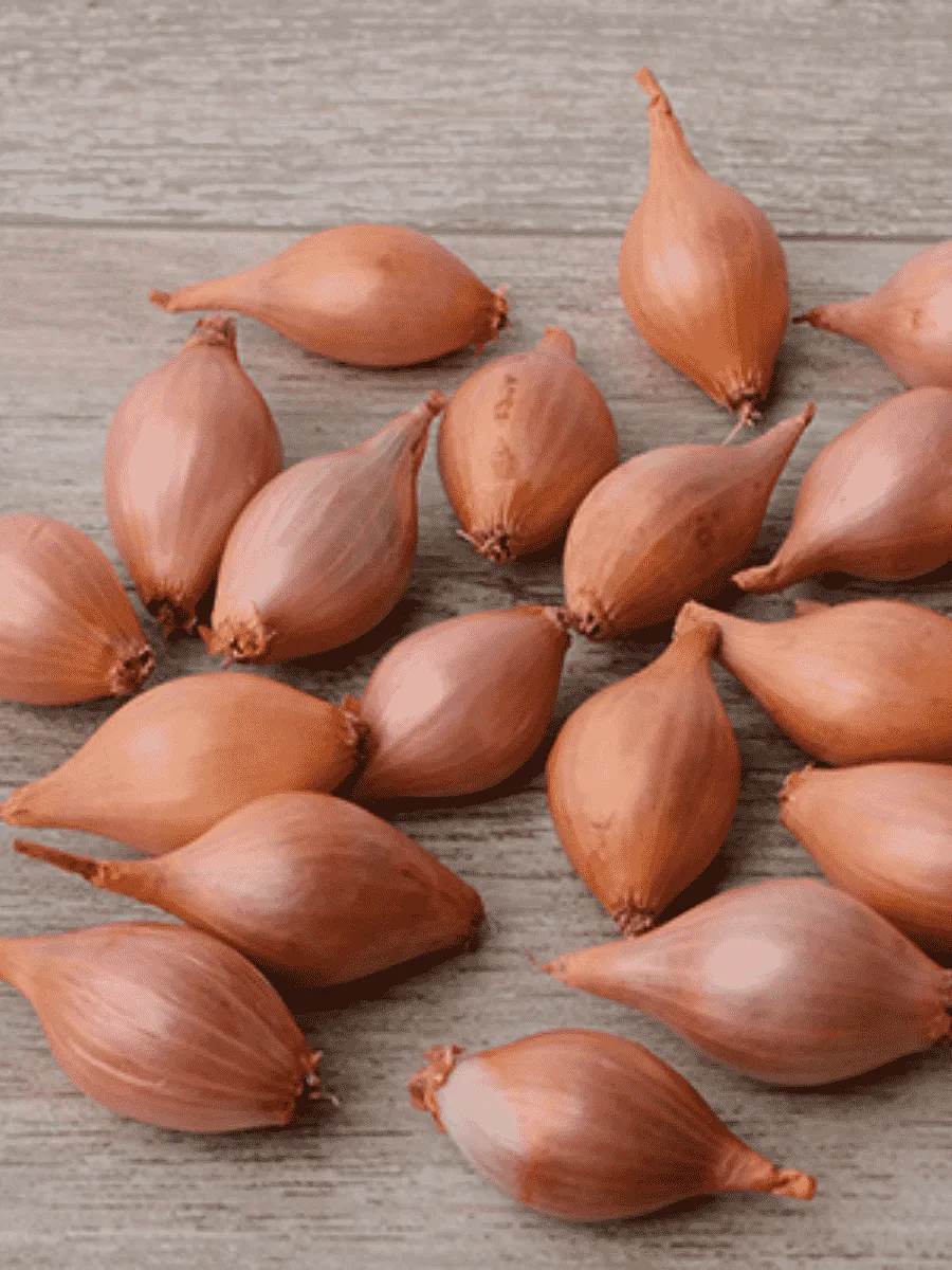 Лук-севок Розана Лук-севок Розана