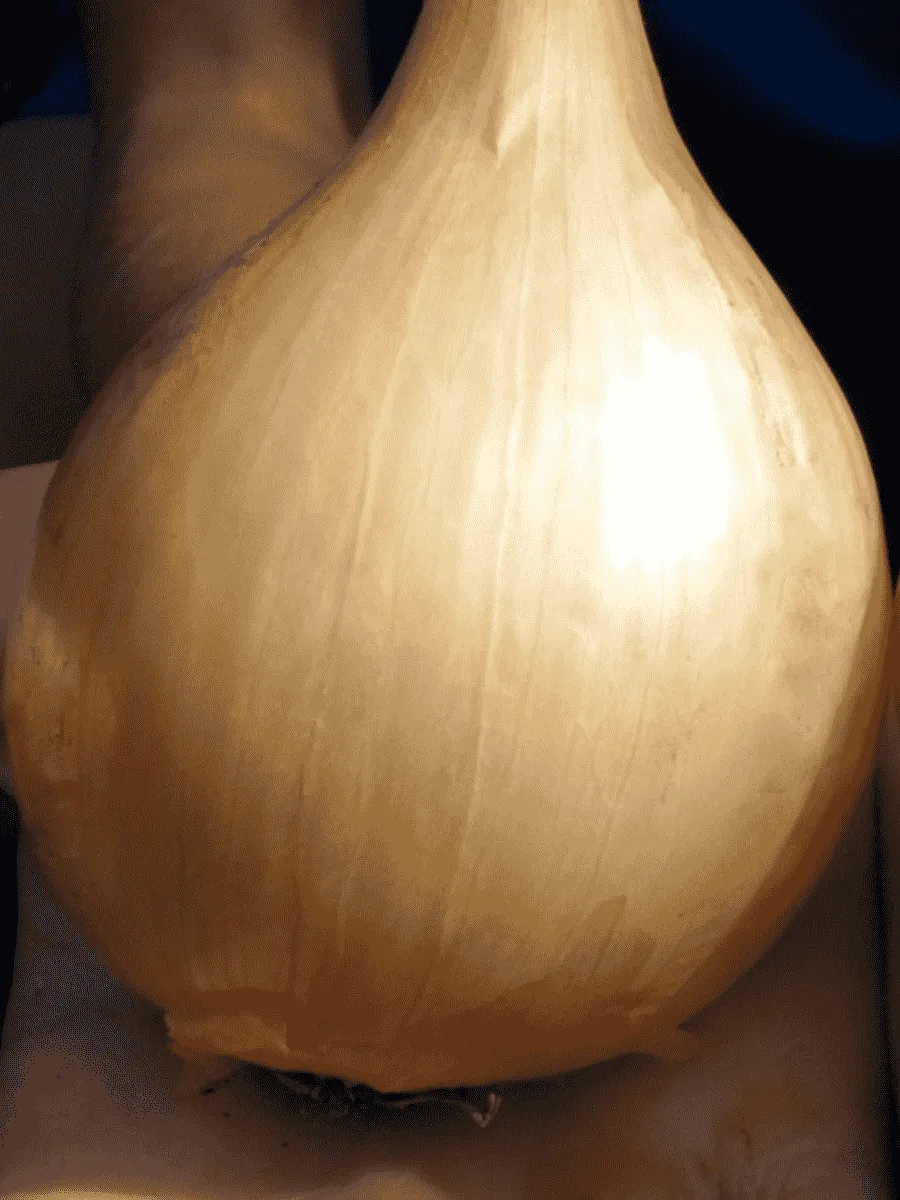 Лук-севок Шекспир Лук-севок Шекспир