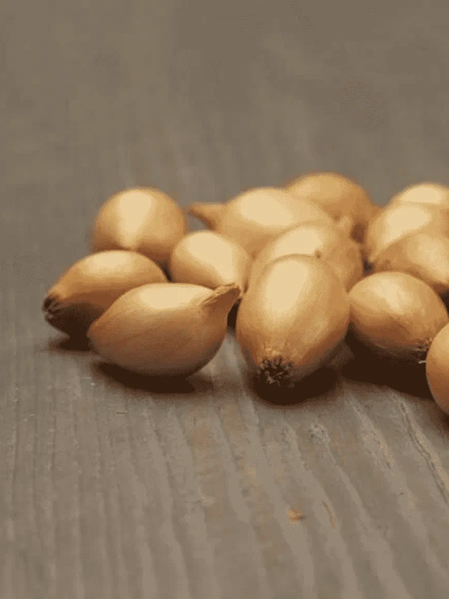 Лук-севок Стурон Лук-севок Стурон