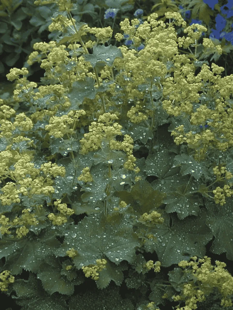 Манжетка мягкая Irish Sikl