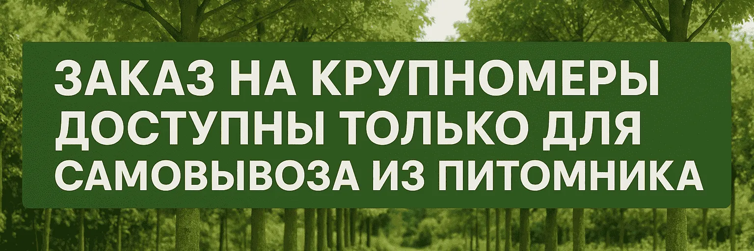 Заказ на крупномеры Заказ на крупномеры
