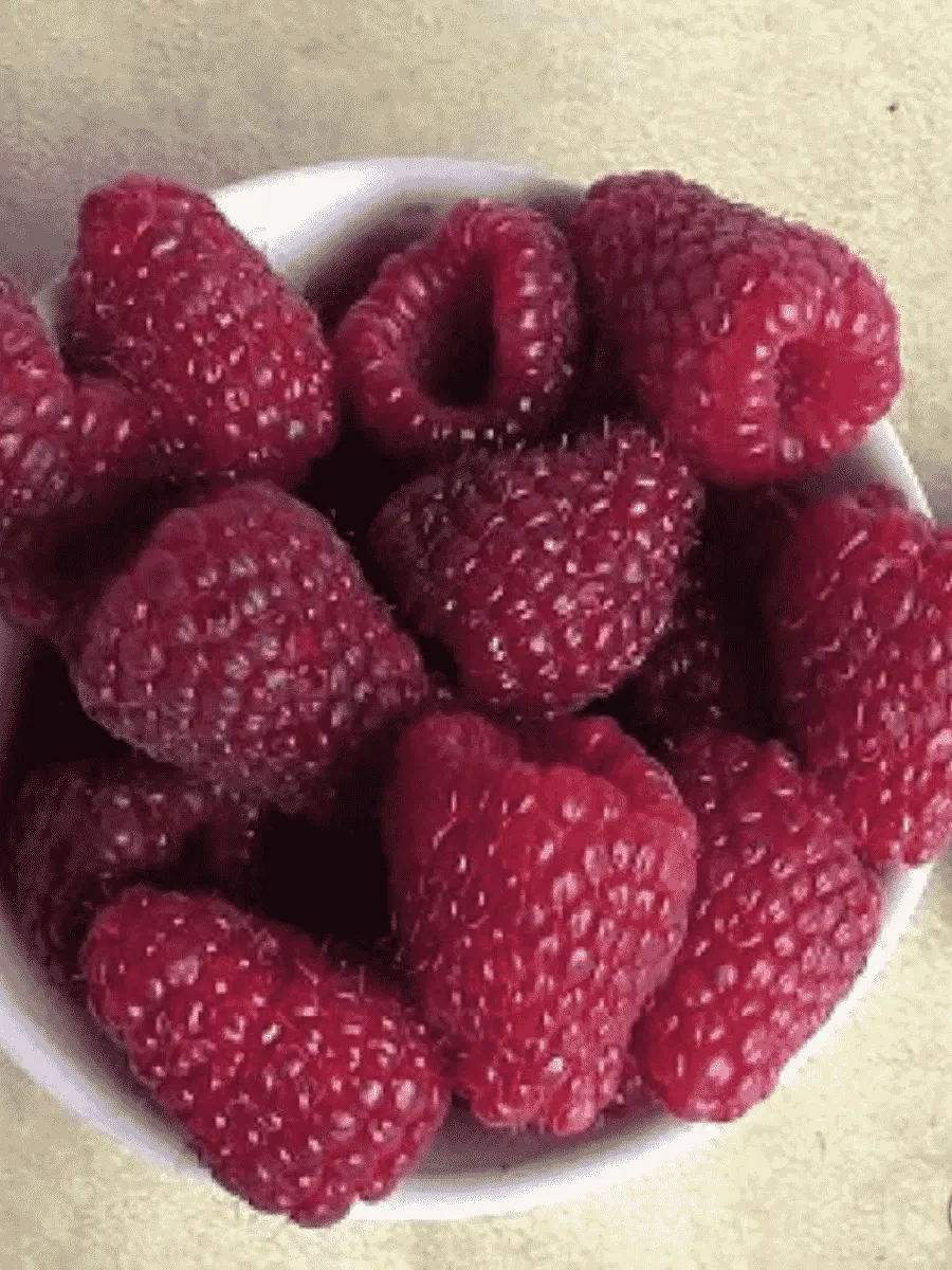 Малина обыкновенная Самохвал