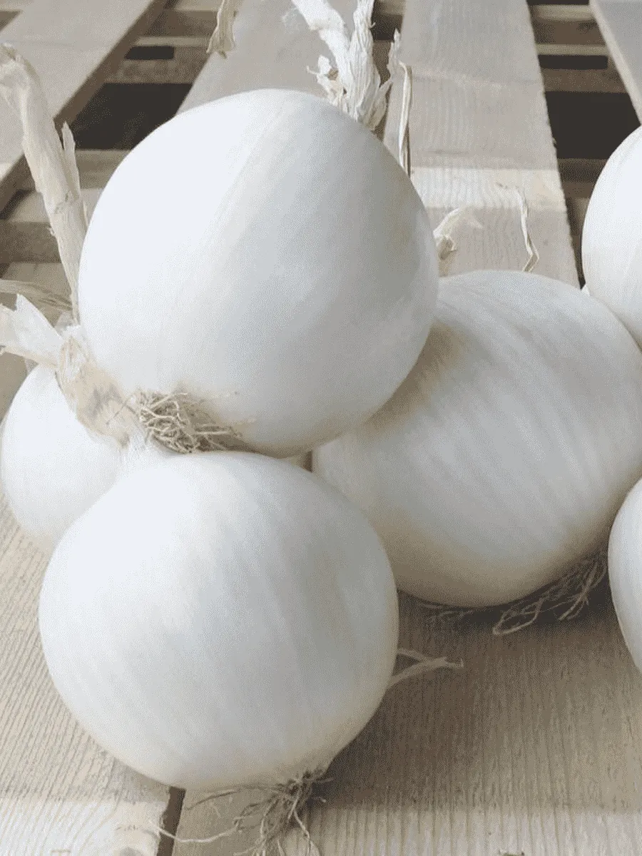 Лук-севок Стардаст Белый Лук-севок Стардаст Белый