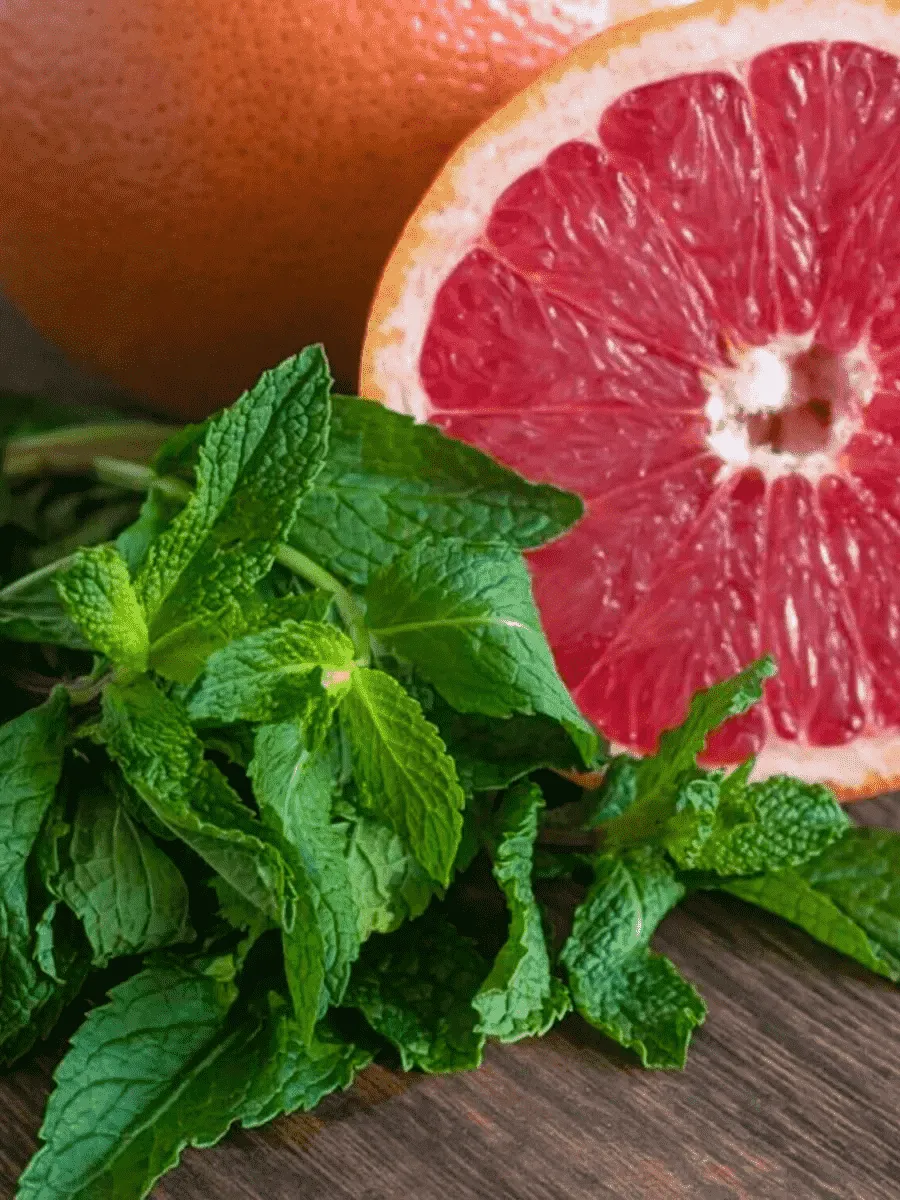 Мята Grapefruit Mint