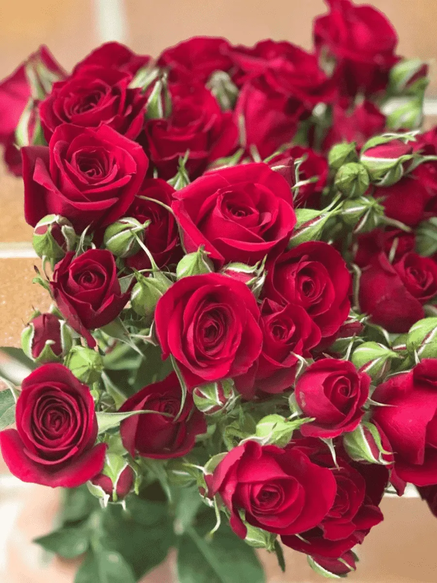 Роза спрей Rubicon Роза спрей Rubicon