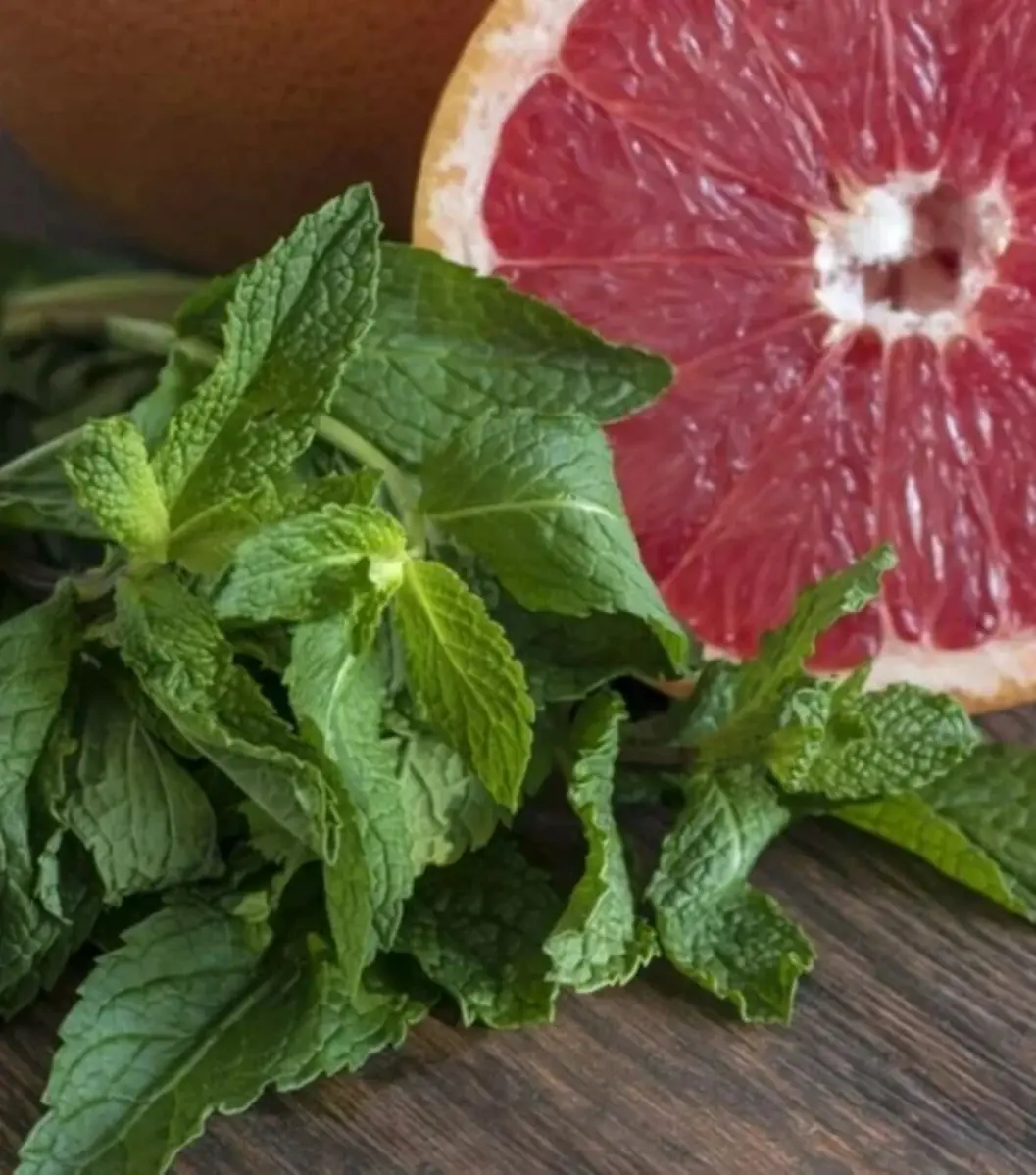 Мята Красный грейпфрут